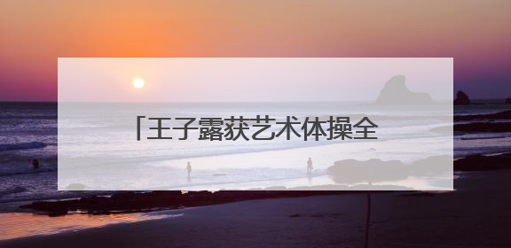 王子露获艺术体操全锦赛个人全能冠军