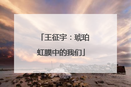 王征宇：琥珀虹膜中的我们