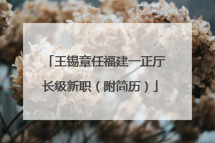 王锡章任福建一正厅长级新职（附简历）