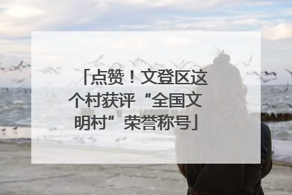 点赞！文登区这个村获评“全国文明村”荣誉称号