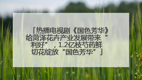 热播电视剧《国色芳华》给菏泽花卉产业发展带来“利好”，1.2亿枝芍药鲜切花绽放“国色芳华”