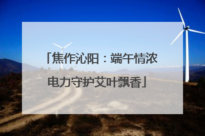 焦作沁阳：端午情浓 电力守护艾叶飘香