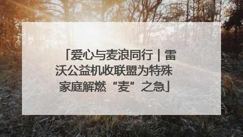 爱心与麦浪同行｜雷沃公益机收联盟为特殊家庭解燃“麦”之急