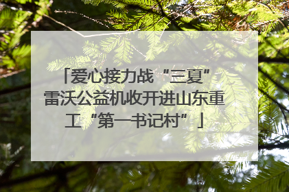 爱心接力战“三夏” 雷沃公益机收开进山东重工“第一书记村”