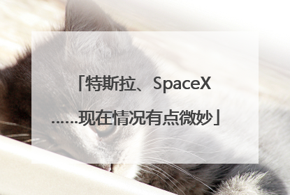特斯拉、SpaceX……现在情况有点微妙