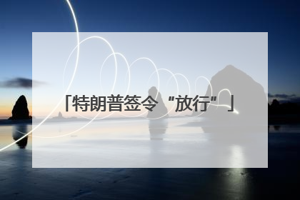 特朗普签令“放行”