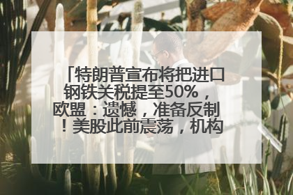 特朗普宣布将把进口钢铁关税提至50%，欧盟：遗憾，准备反制！美股此前震荡，机构：美元正进入熊市
