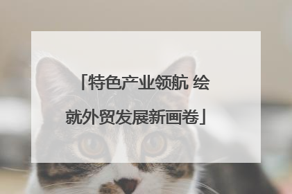 特色产业领航 绘就外贸发展新画卷