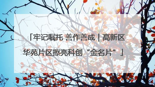 牢记嘱托 善作善成｜高新区华苑片区擦亮科创“金名片”