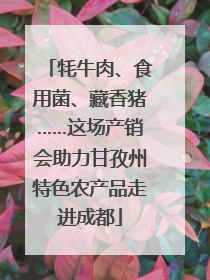 牦牛肉、食用菌、藏香猪……这场产销会助力甘孜州特色农产品走进成都