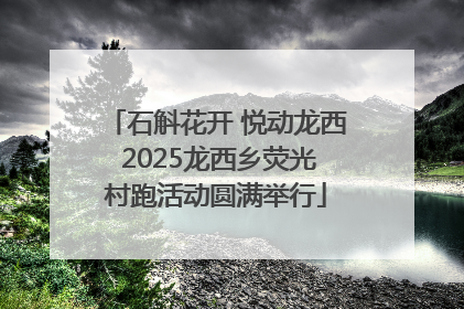 石斛花开 悦动龙西 2025龙西乡荧光村跑活动圆满举行