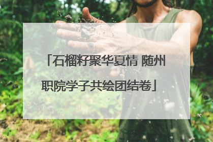石榴籽聚华夏情 随州职院学子共绘团结卷