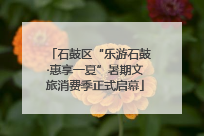 石鼓区“乐游石鼓·惠享一夏”暑期文旅消费季正式启幕