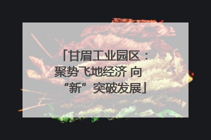 甘眉工业园区：聚势飞地经济 向“新”突破发展