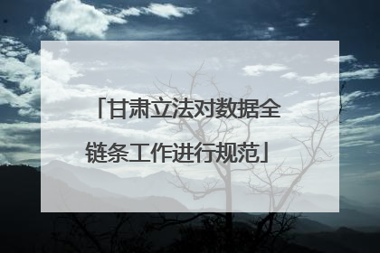 甘肃立法对数据全链条工作进行规范