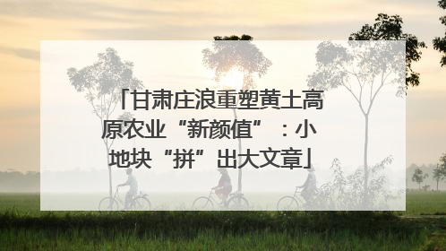 甘肃庄浪重塑黄土高原农业“新颜值”：小地块“拼”出大文章