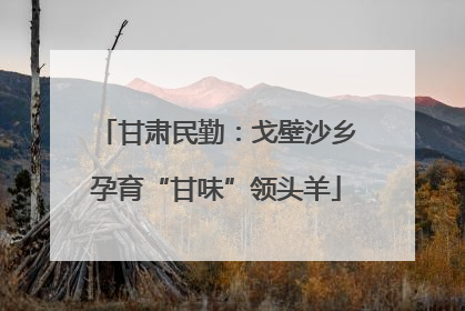 甘肃民勤：戈壁沙乡孕育“甘味”领头羊