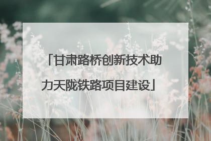 甘肃路桥创新技术助力天陇铁路项目建设
