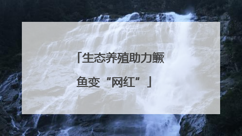 生态养殖助力鳜鱼变“网红”