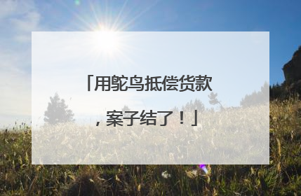 用鸵鸟抵偿货款，案子结了！