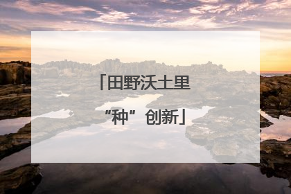 田野沃土里“种”创新