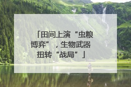 田间上演“虫粮博弈”，生物武器扭转“战局”