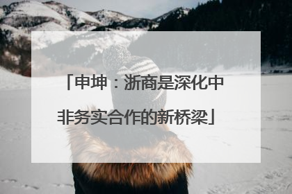 申坤：浙商是深化中非务实合作的新桥梁