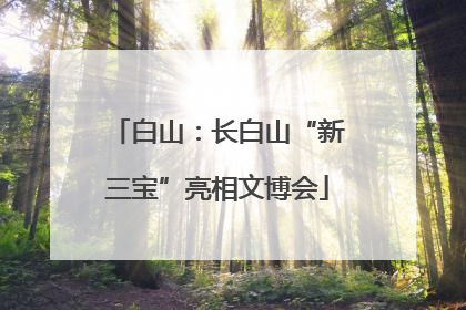 白山：长白山“新三宝”亮相文博会