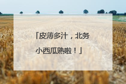 皮薄多汁，北务小西瓜熟啦！