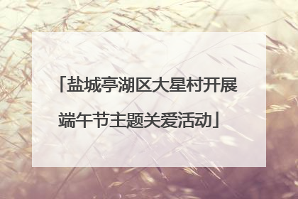盐城亭湖区大星村开展端午节主题关爱活动