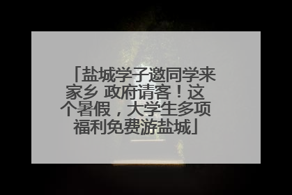 盐城学子邀同学来家乡 政府请客！这个暑假，大学生多项福利免费游盐城