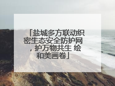 盐城多方联动织密生态安全防护网，护万物共生 绘和美画卷