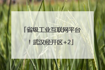 省级工业互联网平台！武汉经开区+2