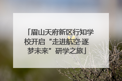眉山天府新区行知学校开启“走进航空·逐梦未来”研学之旅
