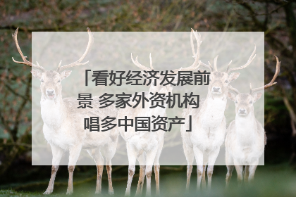 看好经济发展前景 多家外资机构唱多中国资产