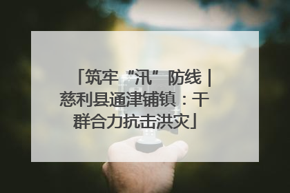 筑牢“汛”防线｜慈利县通津铺镇：干群合力抗击洪灾