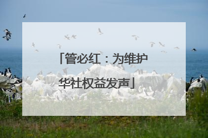 管必红：为维护华社权益发声