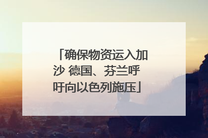 确保物资运入加沙 德国、芬兰呼吁向以色列施压