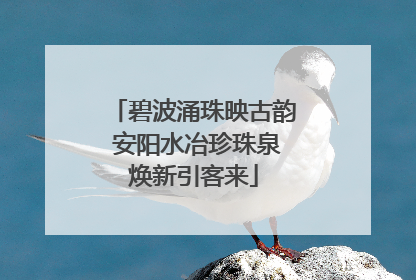 碧波涌珠映古韵 安阳水冶珍珠泉焕新引客来