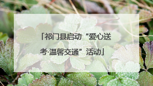祁门县启动“爱心送考·温馨交通”活动