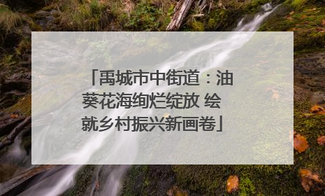 禹城市中街道：油葵花海绚烂绽放 绘就乡村振兴新画卷