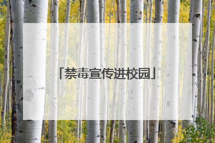 禁毒宣传进校园