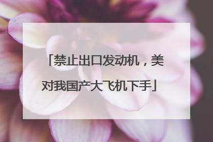 禁止出口发动机，美对我国产大飞机下手