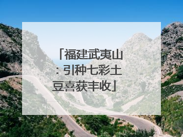 福建武夷山：引种七彩土豆喜获丰收