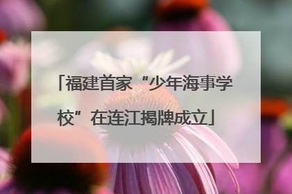 福建首家“少年海事学校”在连江揭牌成立