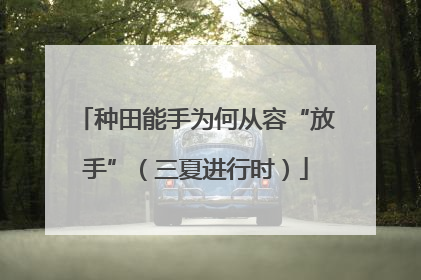 种田能手为何从容“放手”（三夏进行时）