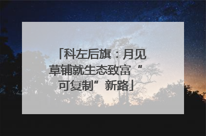科左后旗：月见草铺就生态致富“可复制”新路
