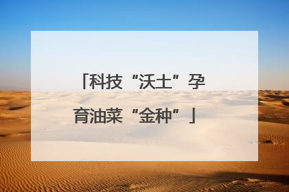 科技“沃土”孕育油菜“金种”