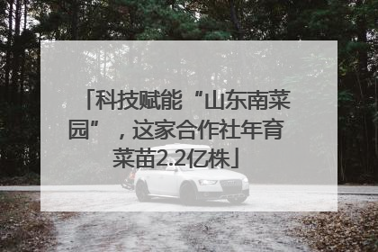 科技赋能“山东南菜园”，这家合作社年育菜苗2.2亿株