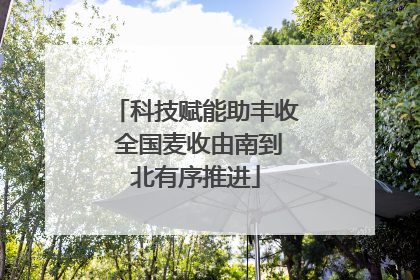 科技赋能助丰收 全国麦收由南到北有序推进
